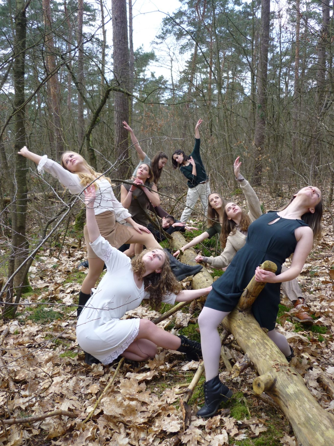 Fünf Menschen in bunter Kleidung posieren dramatisch auf und um einen umgestürzten Baum im Wald.